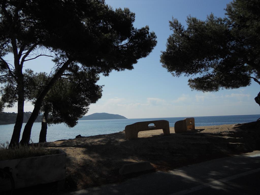 Studio Le Pénéqué des Anges La Ciotat Chambre photo