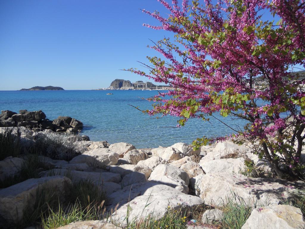 Studio Le Pénéqué des Anges La Ciotat Extérieur photo