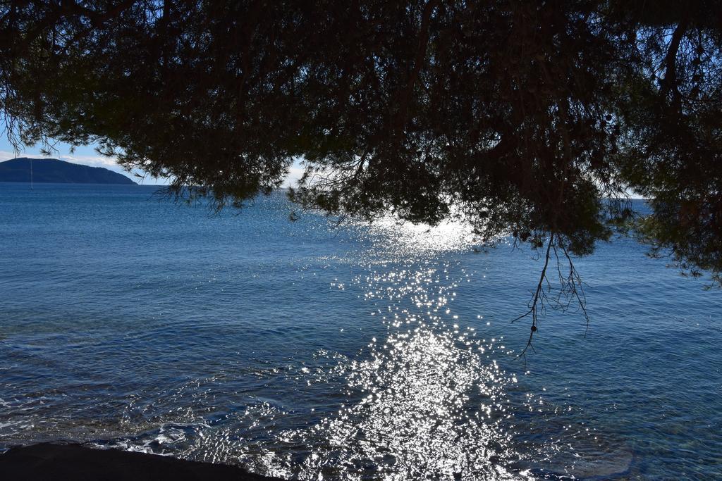 Studio Le Pénéqué des Anges La Ciotat Extérieur photo